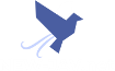 new-jav-net.gopornproxy.com